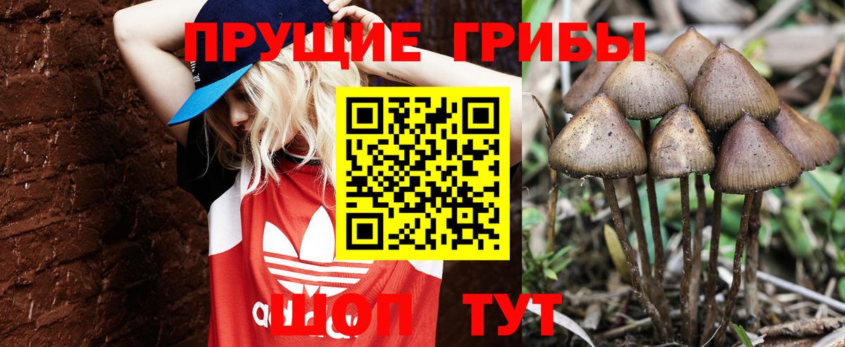 Сосновоборск  наркота  Вход с VPN  Псилоцибиновые грибы ЛСД 